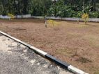 Land For Sale In Thalawathugoda.