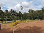 Land For Sale In Thalawathugoda