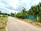 Land for Sale in Thalawathugoda