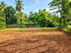 Land for Sale in Thalawathugoda