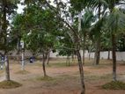 Land for Sale in Thalawathugoda, Kalalgoda