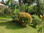 Land for Sale in Thalawathugoda Kalalgoda Preethimawatha
