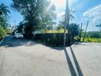 Land for Sale in Thalawathugoda – Kalalgoda Road