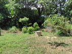 Land for Sale in Thalawathugoda, Sri Jayawardenepura Kotte