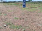 Land for Sale in Thalawathugoda Vidyala Juntion