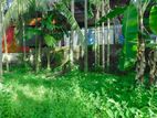 Land for sale in Thalawatugoda