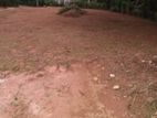 Land for sale in thalgahawila road , Horana