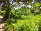 Land for Sale in Thalpe