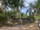 Land for Sale in Thalpitiya Panadura