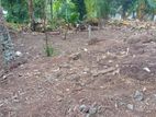 Land for Sale in Thalwathugoda