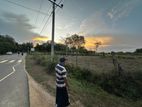 Land for Sale in Thanamalwila තණමල්විලින් අගනා ඉඩමක් වහාම විකිණීමට