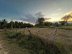Land for Sale in Thanamalwila | තණමල්විලින් අගනා ඉඩමක් වහාම විකිණීමට