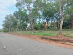 Land for Sale in Thangalle