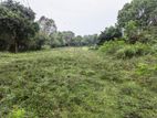 Land for Sale in Thangalle