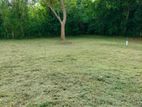 Land for Sale in Thangalle