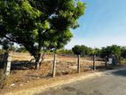 Land for sale in Thannamunai