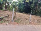 Land for Sale in Thanthirimulla Panadura