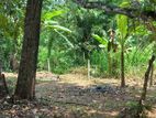 Land for Sale in Kegalle City