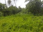 Land for Sale in the Weligama