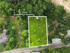 Land for Sale in Theldeniya - Werapitiya