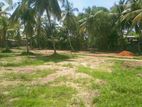 Land for Sale in Thihariya