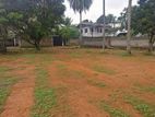 Land for Sale in Thihariya