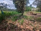 Land for sale in Thihariya