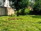 land for sale in Thimbirigasyaya Colombo 5