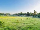 Land For Sale In Thirunelvely