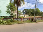 Land for Sale in Thissamaharama Town