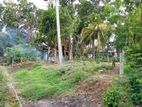 Land for Sale in Thissamaharama town