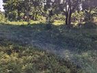 Land for Sale in Thorayaya