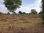 Land for Sale in Tissamaharama