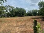 Land for Sale in Tissamaharama