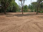 Land for SALE in Tissamaharama, Sri Lanka