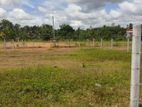 Land for Sale in තල්ගහවිල