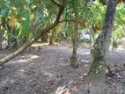 Land for Sale in Tourist Hub Aluthgama