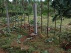 Land for Sale in Uda Kandha, Balangoda (LA4814)
