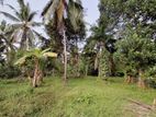 Land for Sale in Udamapitigama, Dompe