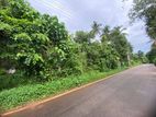 Land for Sale in Udammita
