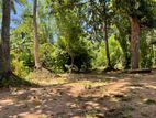 Land for Sale in Udawalawa