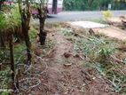 Land For Sale in Udawalawa