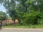 Land for Sale in Udawalawa , Thanamalwila