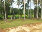 Land for Sale in උඩුගම්පල