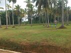 Land for Sale in උඩුගම්පල