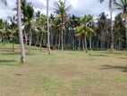 Land for Sale in උඩුගම්පල