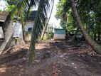 Land for Sale in Udhamulla LS593