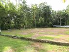 Land for Sale in - Udugama-Veyangoda