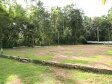 Land for Sale in - Udugama-Veyangoda