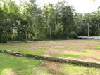 Land for Sale in - Udugama-Veyangoda